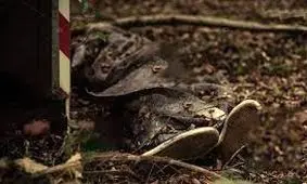 تجاوز به زن 28 ساله در مخروبه