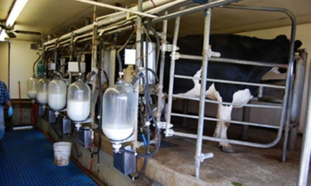 با افزایش قیمت شیر خام موافق هستیم