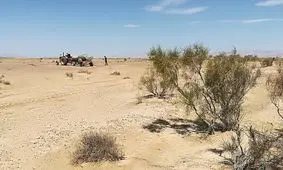 احیاء ۵۷۰ هزار هکتار از اراضی بیابانی خراسان رضوی