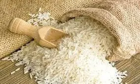 ضرورت کاهش ضایعات برنج در رشت