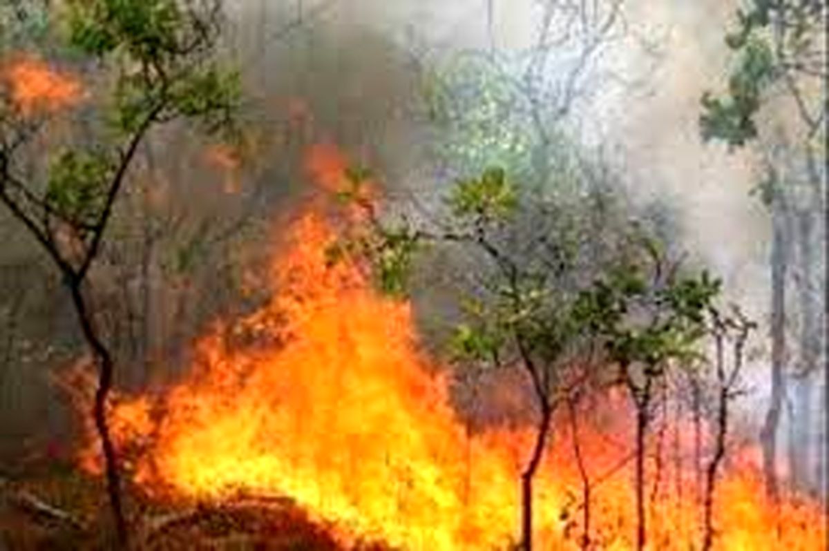 هشدار هواشناسی گلستان درباره احتمال آتش‌ سوزی در جنگل‌ های هیرکانی