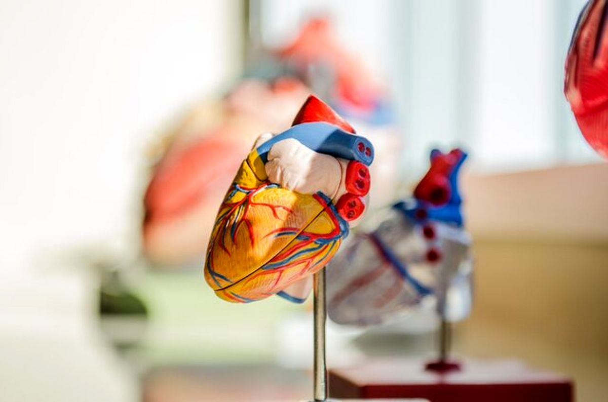 ابداع قلب مصنوعی جدید با قابلیت‌ تنظیم خودکار
