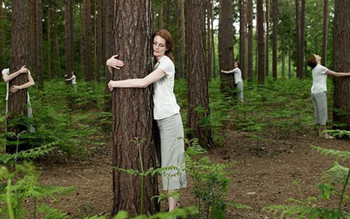 آیا میدانستید که درختان مغز دارند؟