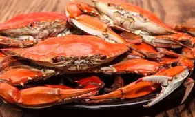 رقابت هشت‌پاخواران در فضای مجازی/ عرضه جانوران حرام گوشت تخلف است؟ + ویدئو