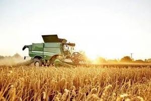 افزون‌بر ۲۱ هزار تن گندم از کشاورزان سیستان و بلوچستان خریداری شد