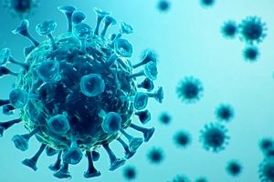 بار ویروسی مسئول انتقال بیشتر گونه‌های جهش یافته کروناویروس نیست