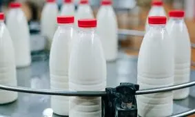 افزایش ۷۰ درصدی قیمت لبنیات از هفته آینده