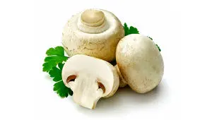 قارچ ۲۰درصد گران شد/ جدول