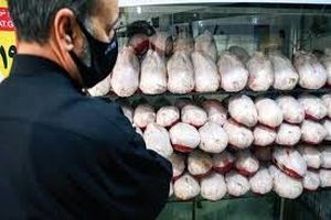 زنجیره رصد توزیع مرغ در زنجان تکمیل شد