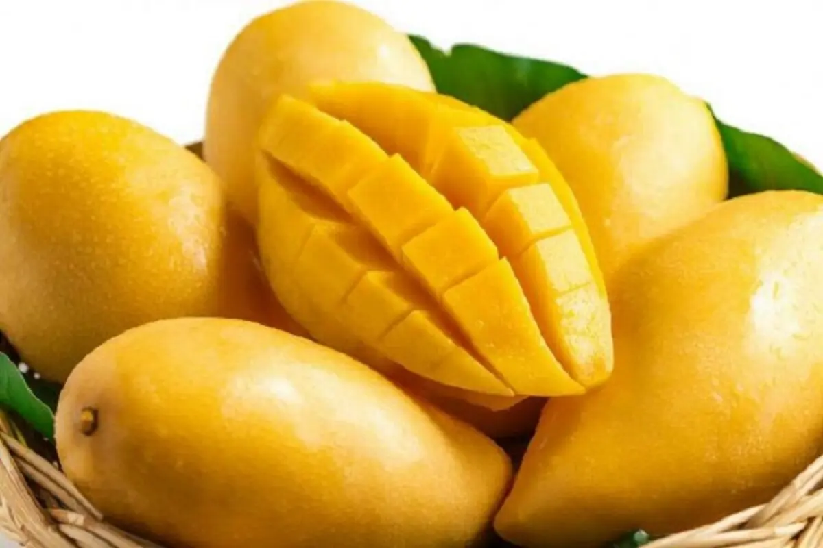مصرف این مواد غذایی پس از انبه ممنوع!