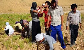 نوجوان بوکانی بر اثر نوشیدن آب یخ درگذشت