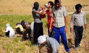 نوجوان بوکانی بر اثر نوشیدن آب یخ درگذشت