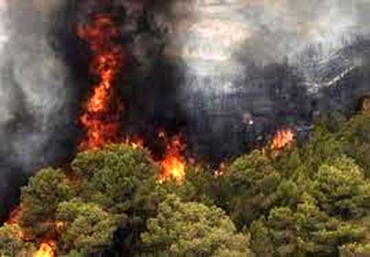 آتش سوزی جنگل‌ های «شبلیز» شهرستان دنا مهار شد