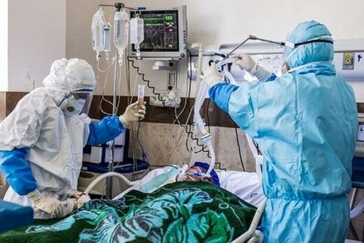 ۱۱۰ بیمار جدید در بخشهای کرونایی استان بوشهر بستری شدند