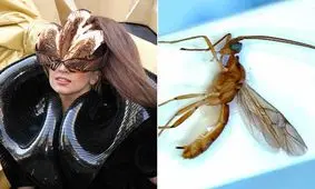 جاندارانی که از روی سلبریتی‌ها نامگذاری شده‌اند