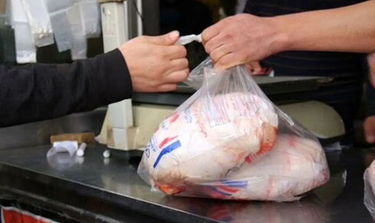 خرید مرغ در اصفهان با کارت ملی الزامی شد/ هر اصفهانی با کارت ملی هر هفته امکان خرید ۶ کیلوگرم مرغ را دارد