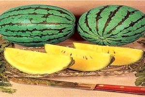 به ۹ دلیل خوردن هندوانه زرد توصیه می شود