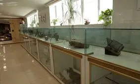 موزه زعفران خراسان، تلاشی برای سند زدن اصالت تاریخی طلای سرخ ایران