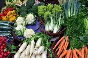 این سبزیجات را در فصل تابستان بیشتر استفاده کنید