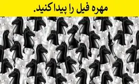 چند معمای تصویری که فقط تیزبین ها از پس حلشان برمی آیند/ عکس
