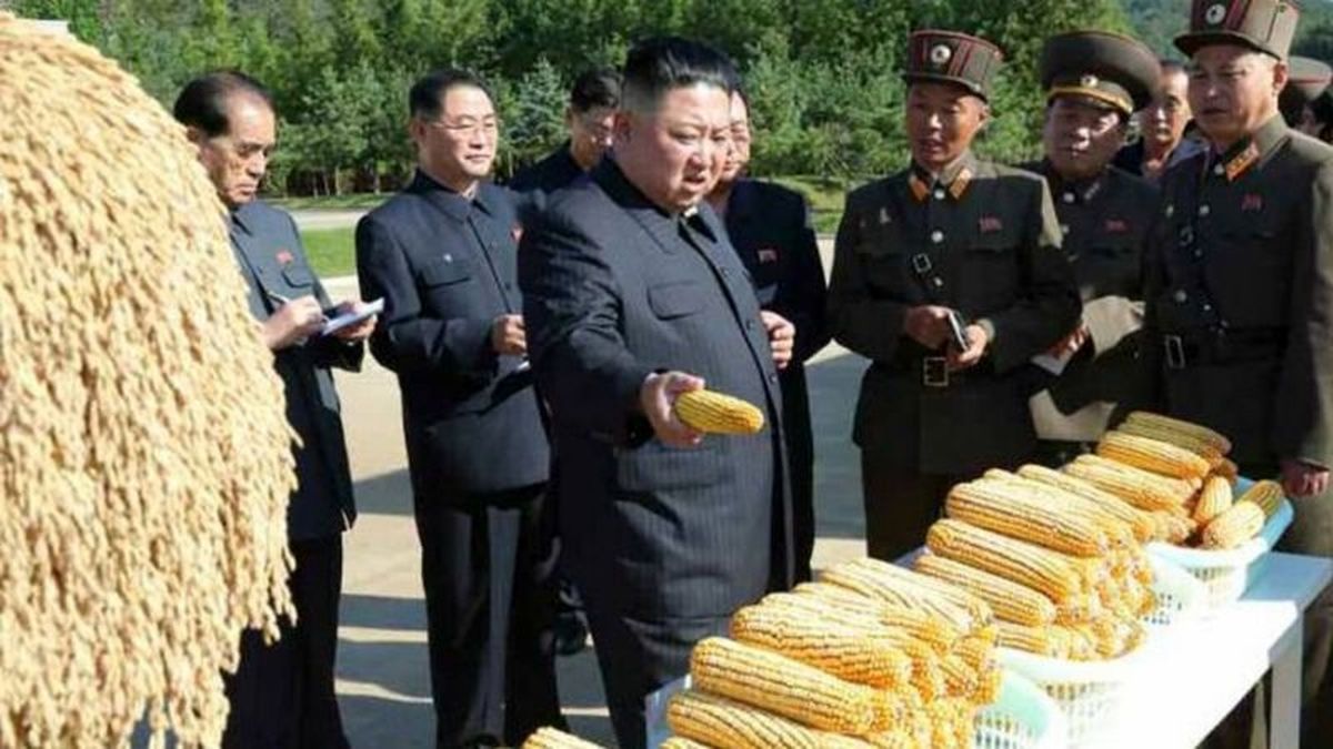 چرا کره شمالی امسال غذای کافی ندارد؟