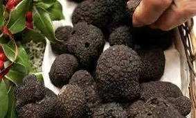 کشف ترافل قاچاق در گالیکش