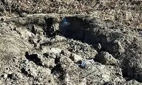 ماجرای عجیب سرقت جنجالی جسد دختران جوان از قبر