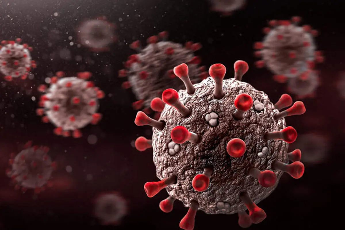 دلتای هندی در مشهد در حال انتشار است/ مشهد به‌زودی قرمز می‌شود