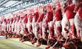 ۱۴ هزار کیلوگرم گوشت در خوزستان از چرخه مصرف خارج شد