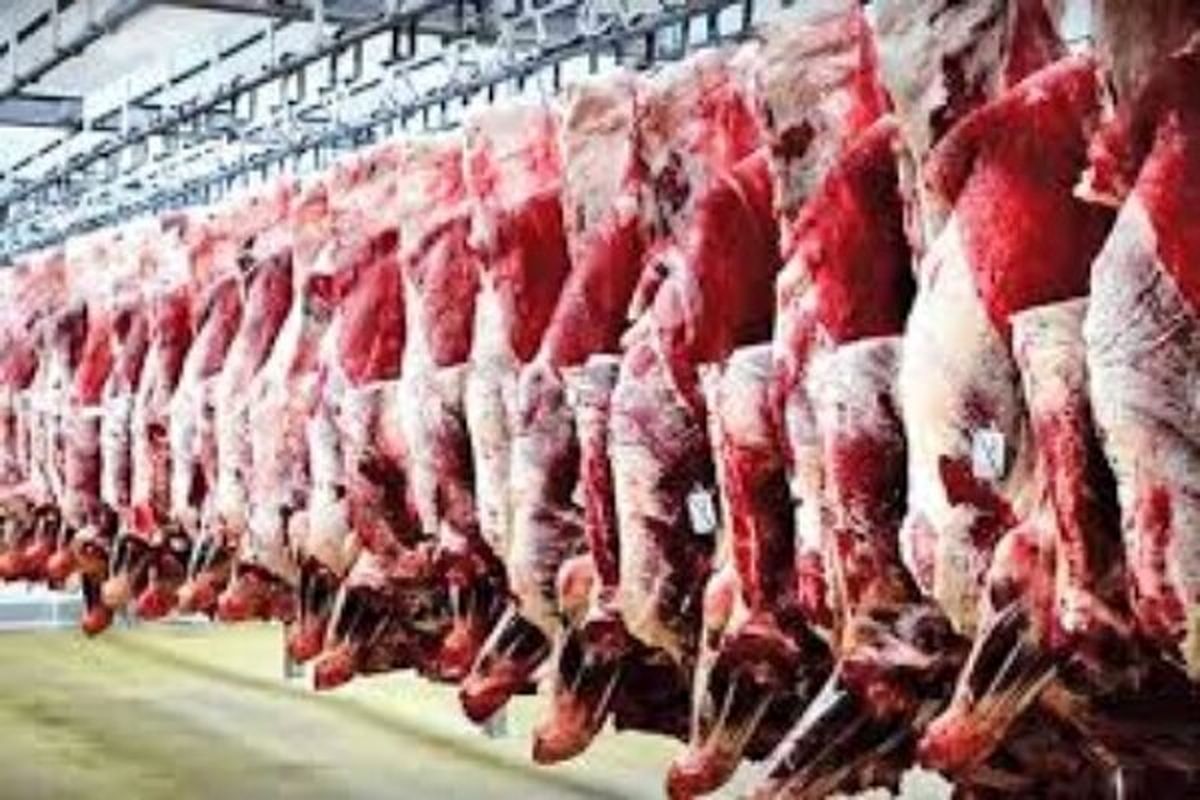۱۴ هزار کیلوگرم گوشت در خوزستان از چرخه مصرف خارج شد