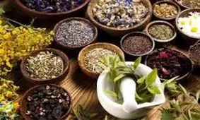 خشکسالی، موجب گرانی گیاهان دارویی در مشهد شد