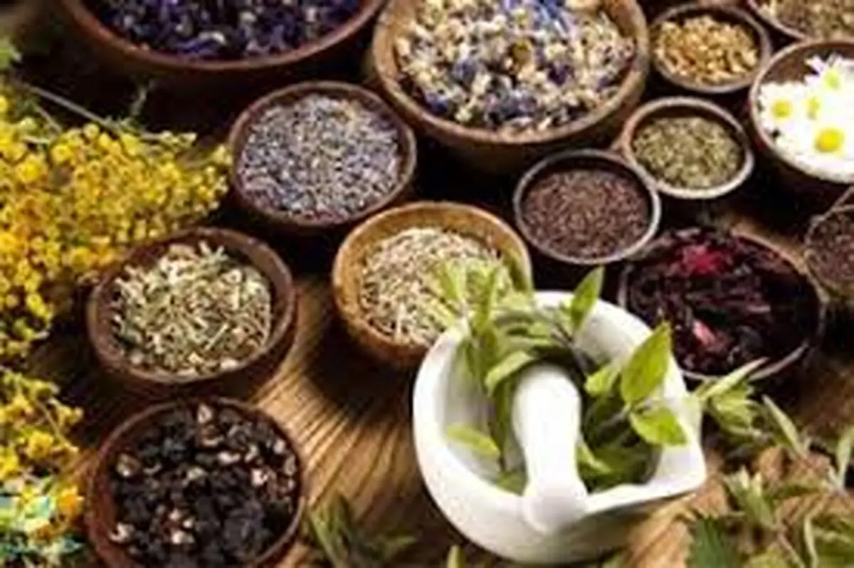 خشکسالی، موجب گرانی گیاهان دارویی در مشهد شد