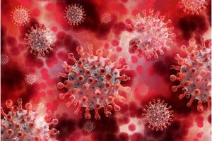 ابتلای ۱۷۶ مورد جدید به کرونا ویروس و دو فوتی در لرستان