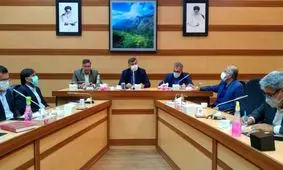 ایجاد اشتغال روستایی راهکار مقابله با قاچاق چوب است