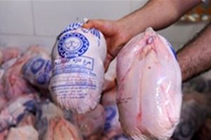 توزیع روزانه ۲۰ تن مرغ منجمد در بازارهای خراسان شمالی
