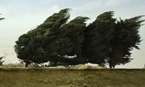 تشدید وزش باد در مرز شرقی خراسان جنوبی