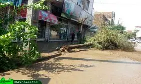 فیلم/ وقوع سیل در شهرستان کلاله