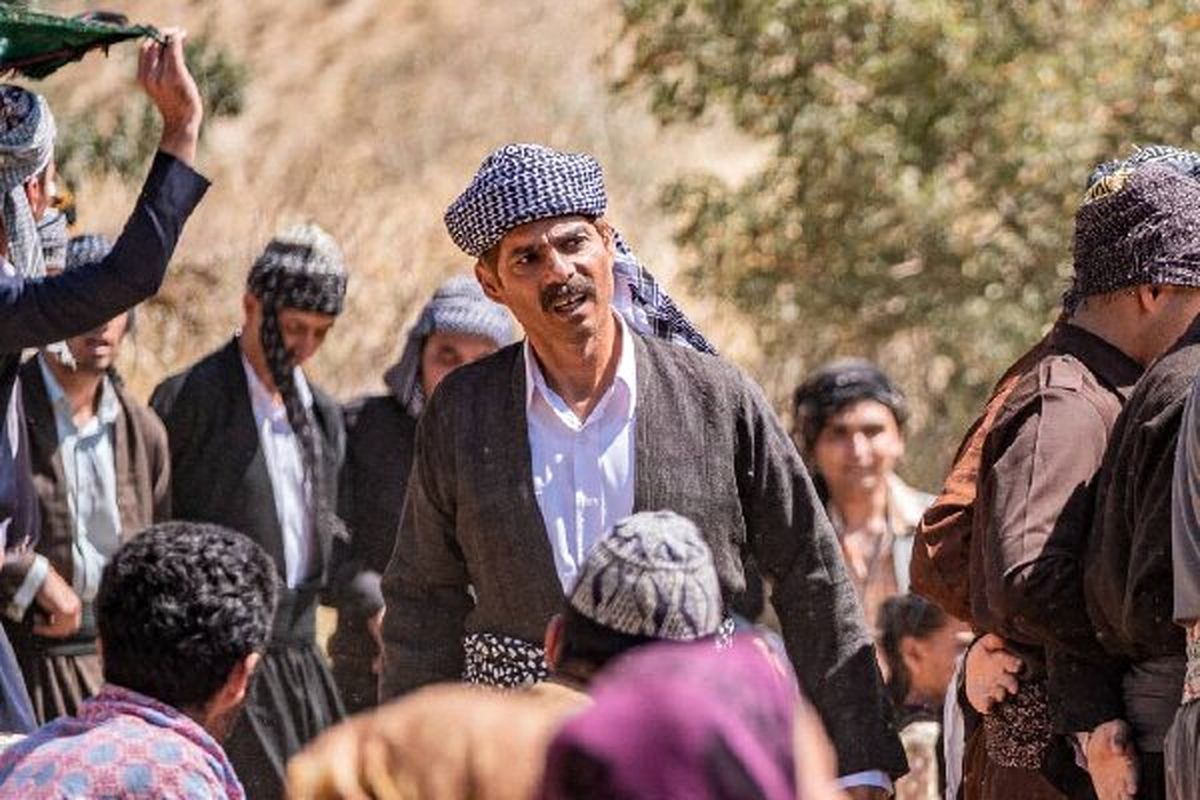 «درخت گردو» از اکران انصراف داد/ مصوبه دیروز بیاحترامی به ما بود