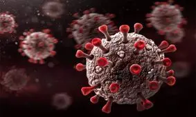 موج پنجم کرونا رسماً شروع شد/ افزایش ترسناک تعداد جان‌‌باختگان