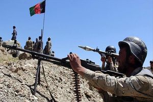 تشدید جنگ با طالبان در ۱۵ استان/ وزارت دفاع: ۲۵۸ عضو طالبان کشته شدند