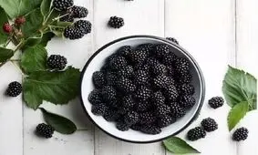 ۵ خوراکی سیاه رنگ که باید در رژیم غذایی خود بگنجانیم