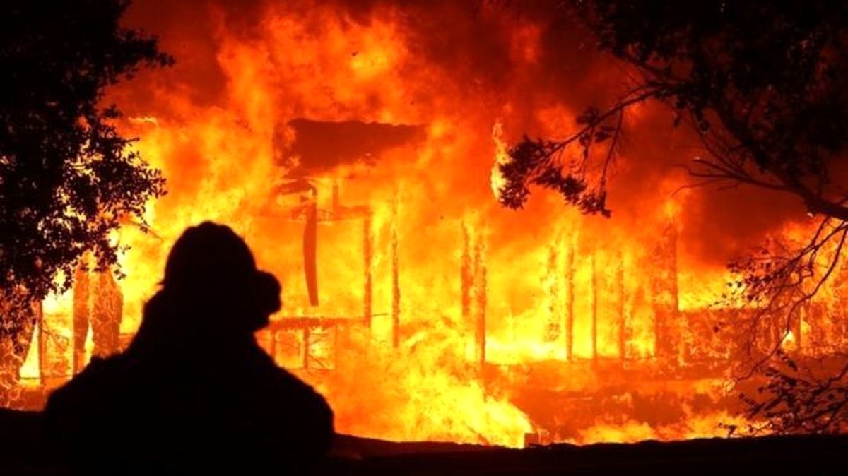 آتش سوزی بزرگ ۸ خانه در جاده چالوس/ ویدئو