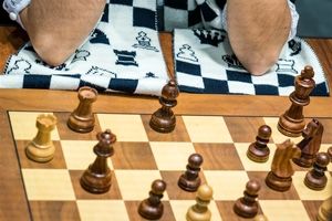 انتصاب سرمربیان تیم‌های ملی شطرنج