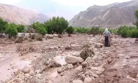 سیل به کشاورزان و دامداران راز و جرگلان ۲۱ میلیارد تومان خسارت زد