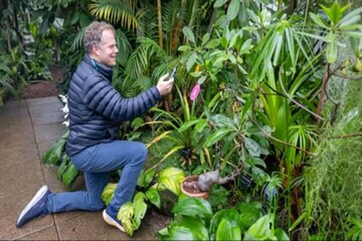 گفتگو با گیاهان ممکن شد