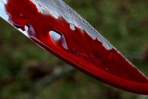 حمله خونین به 3 بسیجی در شمیرانات/ اطلاعیه فوری پلیس برای دستگیری