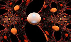 پروژه جامع اروپا برای شناسایی دقیق نانو مواد