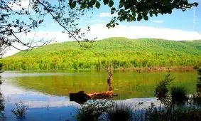 چشمه زیبای «باداب سورت»/ تصویر