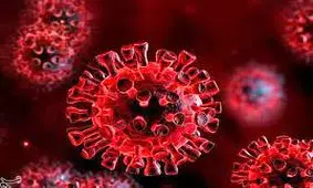 آخرین آمار کرونا ویروس در قزوین