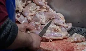 چرا قیمت مرغ دوباره صعودی شد؟